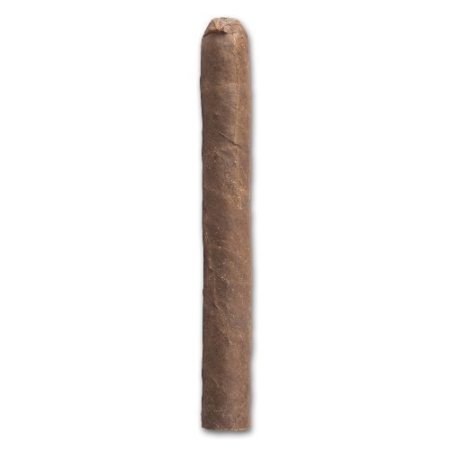 Meine Corona Tubos Brasil, 10 Zigarren