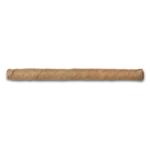 Meine Wilde Cigarillos Sumatra Style, 50 Zigarren